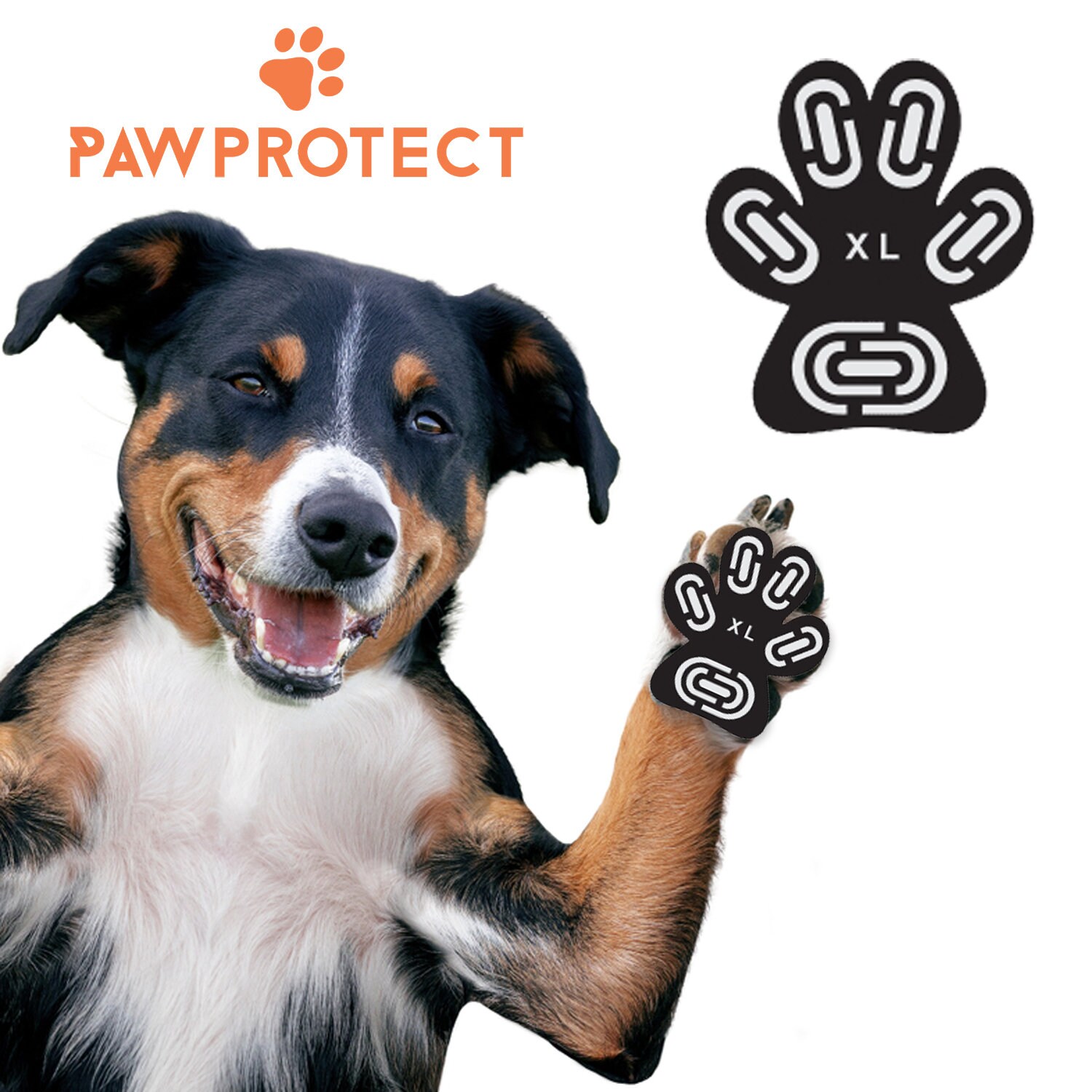 How To Protect Dogs Paws