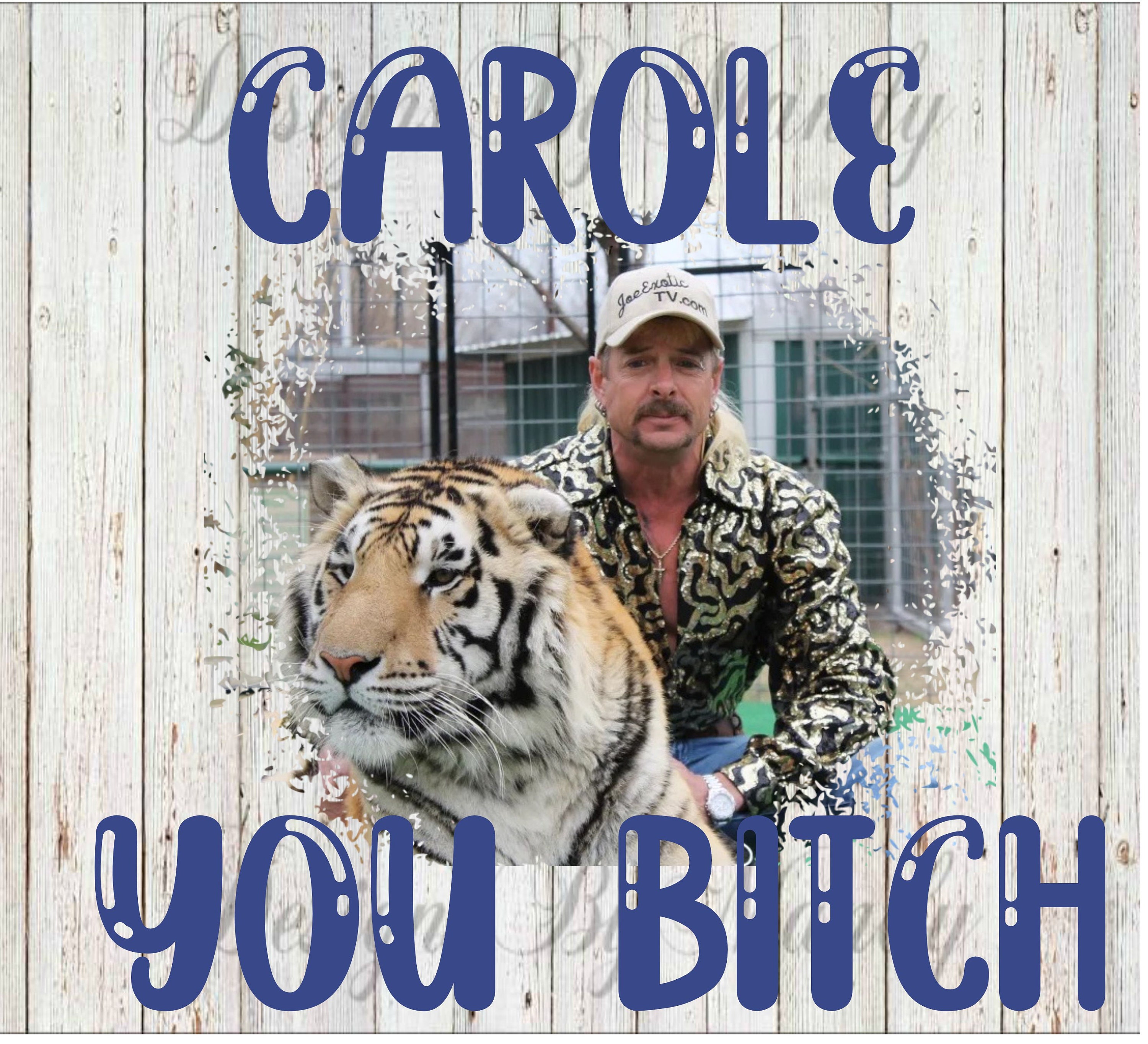 Carole You Bitch PNG, PNG, Digital Download, Sublimation Design, Carole  Baskin PNG, Tiger King Digital Download