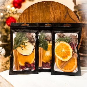 Mini Christmas Simmer Pot Kit: Dried Fruits, Spices, Citrus – Stovetop Potpourri