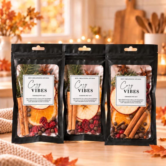 Mini Christmas Simmer Pot Kit: Dried Fruits, Spices, Citrus – Stovetop Potpourri
