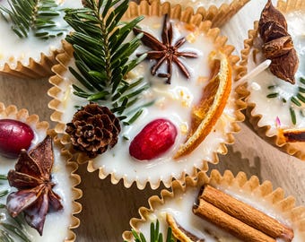 Fire Starters/2.5oz Fire Starters/Fire Pit Fire Starters/Campfire/Natural Fire Starters/Wood Burning Stove Fire Starters