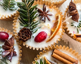 Fire Starters/2.5oz Fire Starters/Fire Pit Fire Starters/Campfire/Natural Fire Starters/Wood Burning Stove Fire Starters