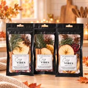 Mini Christmas Simmer Pot Kit: Dried Fruits, Spices, Citrus – Stovetop Potpourri
