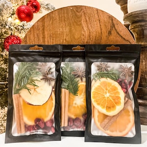 Mini Holiday Simmer Pot Kits-Stovetop Potpourri-Christmas Stovetop Potpourri-Holiday Simmer Pot With Dried Fruits and Spices-Christmas