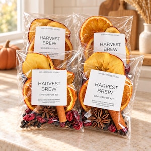 Simmer Pot Kit,Fall Stovetop Potpourri,Harvest Brew Stovetop Potpourri,Autumn Fragrance,Mini Simmer Pot Kit