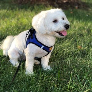Step-In Mesh Crop Dog and Cat Vest Harness with Reflective Side Bands for Small to Medium Dogs and Cats in 3 colors