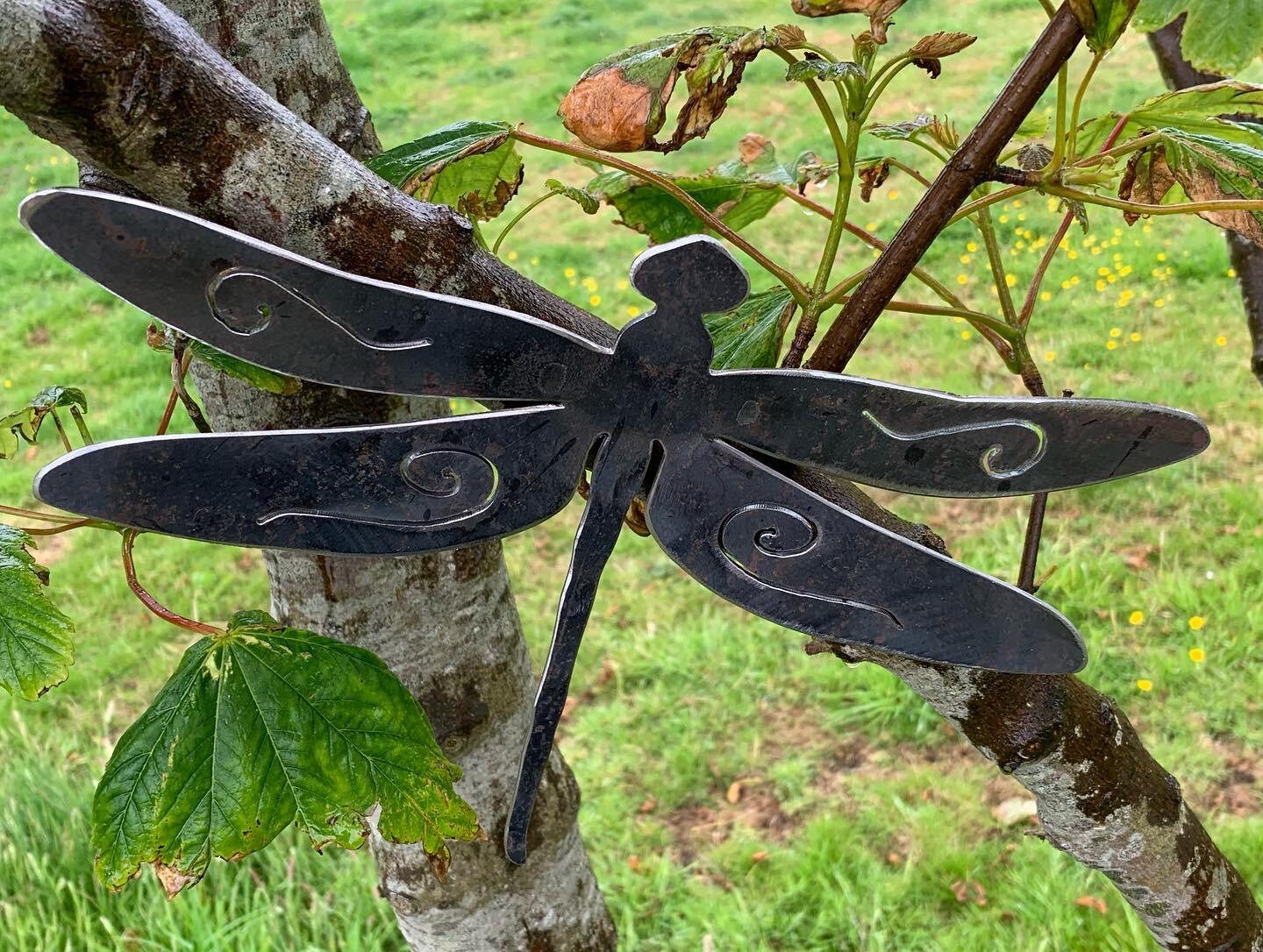 Garden Ornament Dragonfly Rust Art / Bare Metal Wall Etsy UK