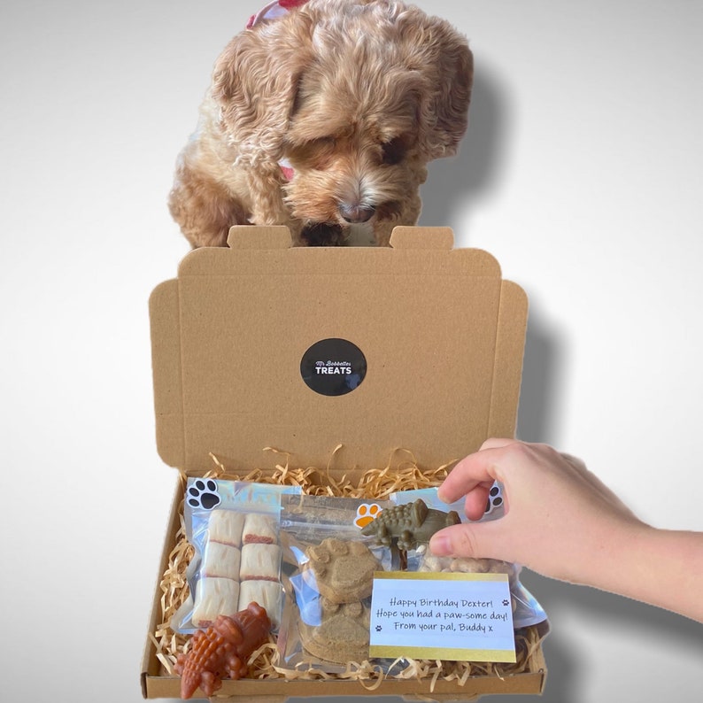 Letterbox Dog Treat Box Puppy Treat Box Dog Treats Box | Etsy
