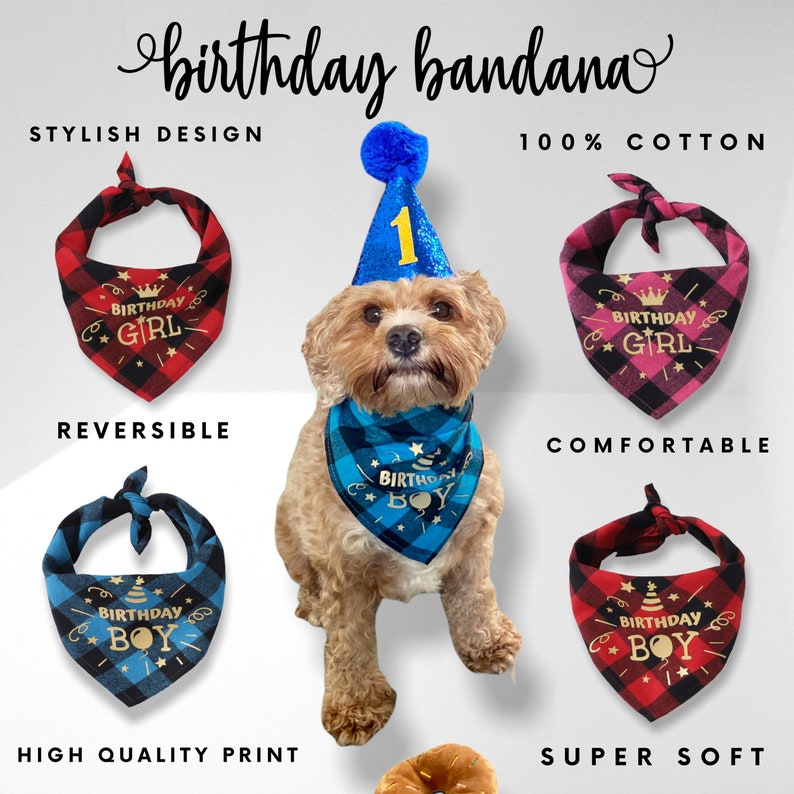 Personalised Dog Birthday Gift Box Dog Birthday Present Etsy UK