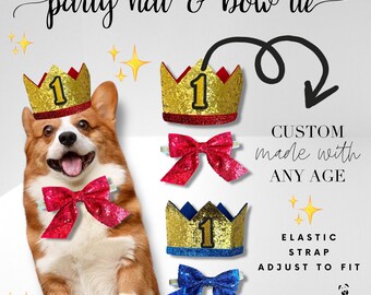 Personalised Dog Birthday Gift Set - Crown Party Hat & Bone Treat