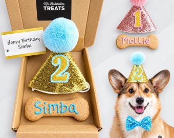 Personalized Dog Birthday Gift Set: Party Hat & Biscuit Bone Treat