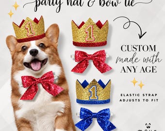 Personalised Dog Birthday Gift Set - Crown Party Hat & Bone Treat