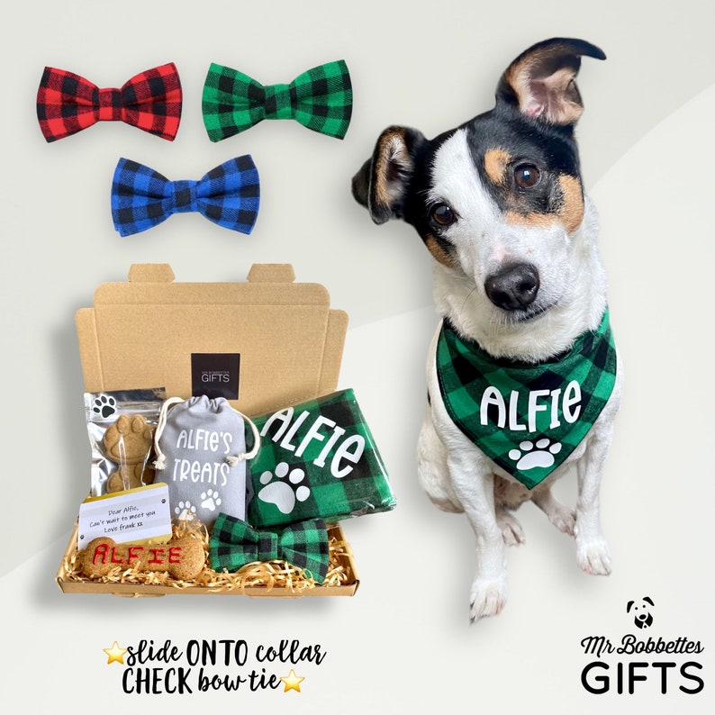 Puede incluir: Una caja de regalo para un perro llamado Alfie, que contiene una pajarita de cuadros verde y negro, una bandana de cuadros verde y negro con el nombre "Alfie" en ella, una bolsa de golosinas para perros y galletas para perros. La caja tambi&eacute;n incluye una tarjeta que dice "Querido Alfie, Tengo muchas ganas de mimarte. Con cari&ntilde;o, Frank x".