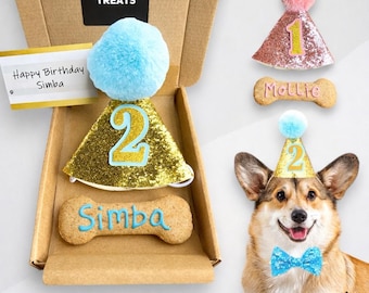 Personalized Dog Birthday Gift Set: Party Hat & Biscuit Bone Treat