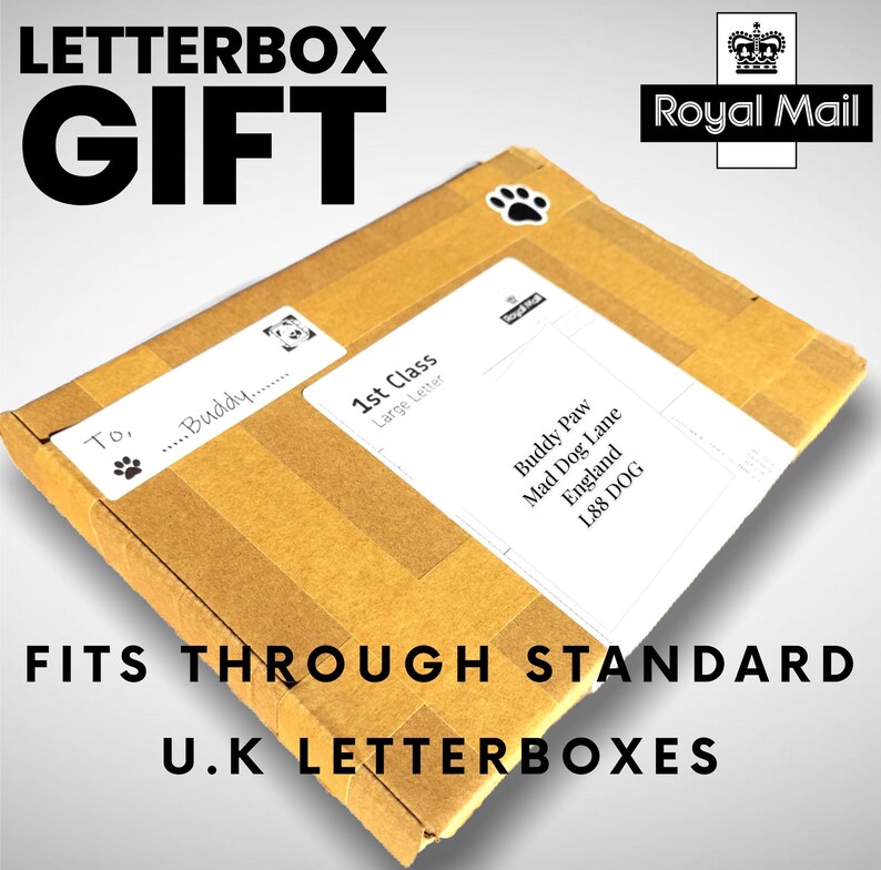 Letterbox Dog Treat Box Puppy Treat Box Dog Treats Box Etsy