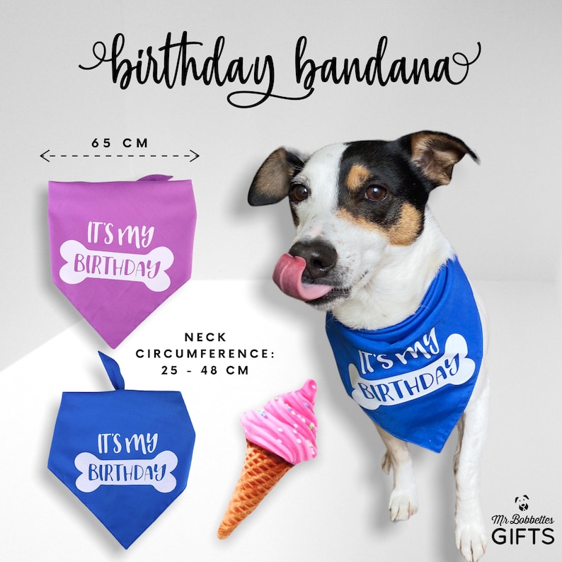 Personalised Dog Birthday Gift Box Dog Birthday Present Etsy UK