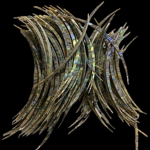 May include: A bundle of iridescent green, brown, and gold abalone shell pieces. The pieces are thin and curved, and they are arranged in a random pattern.