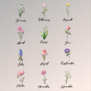 K&ouml;nnte beinhalten: Aquarellillustrationen von Blumen, die die Monate des Jahres darstellen. Das Bild zeigt Blumen wie Schneegl&ouml;ckchen, Narzissen, Rosen und G&auml;nsebl&uuml;mchen, wobei der Monatsname in Schreibschrift unter jeder Blume steht.