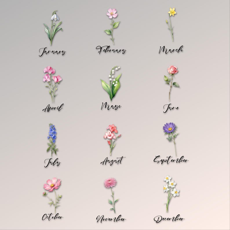 K&ouml;nnte beinhalten: Aquarellillustrationen von Blumen, die die Monate des Jahres darstellen. Das Bild zeigt Blumen wie Schneegl&ouml;ckchen, Narzissen, Rosen und G&auml;nsebl&uuml;mchen, wobei der Monatsname in Schreibschrift unter jeder Blume steht.