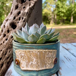 May include: A cylindrical ceramic planter with a teal glaze and a central beige rectangular panel featuring embossed botanical illustrations of seed pods. Two small brown circular accents flank the panel, and a succulent plant sits inside.