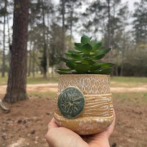 May include: A small, handcrafted ceramic planter with a textured, beige finish. The planter features a green, circular accent and holds a green succulent plant. The design includes a woven pattern and horizontal lines, creating a rustic aesthetic.