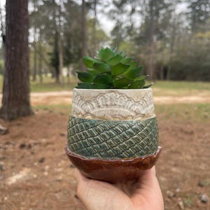 May include: A small, handcrafted ceramic planter with a succulent plant. The planter has a layered design with a textured green middle section, a cream-colored top with a lace pattern, and a brown base. The succulent has green leaves.
