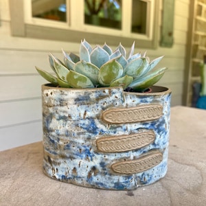 May include: A ceramic planter with a textured, mottled blue and white glaze featuring three horizontal, raised tan clay accents on the front. A green succulent plant with thick, pointed leaves is potted inside the oval-shaped container.
