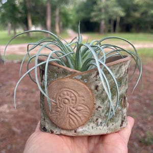 May include: A small, cylindrical ceramic planter with a mottled green and brown glaze, featuring a circular terracotta-colored medallion with an embossed radial pattern on the front, containing a spiky, light green air plant with thin leaves.
