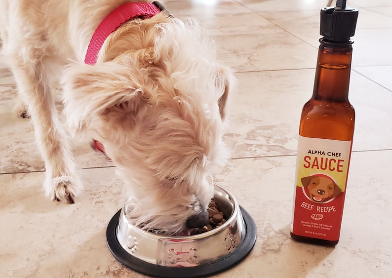 Dog Food Topper & Cat Food Topper Sauce Gravy for Picky Eaters Etsy