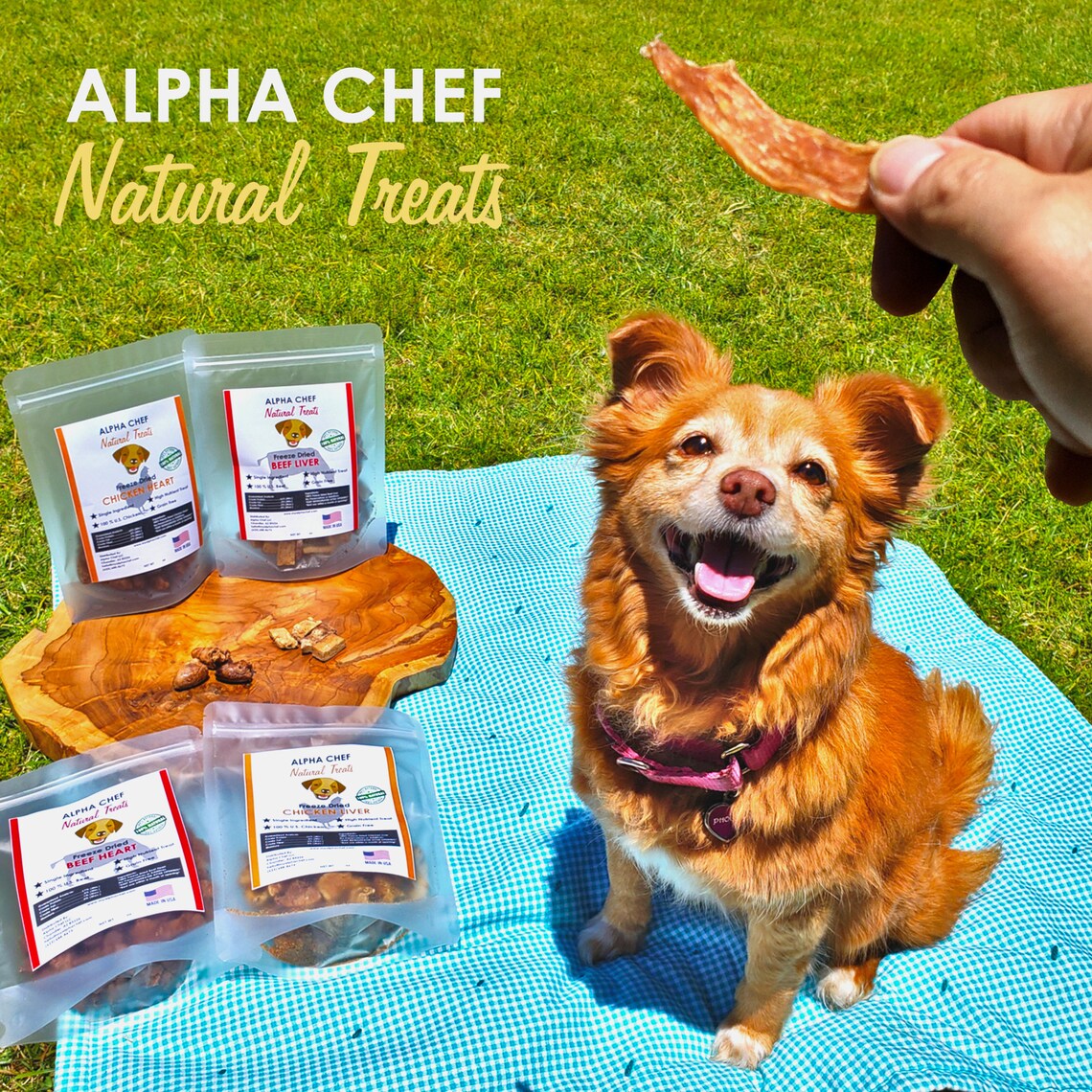 CHEWY NOT DRY Chicken Jerky Dehydrated Chicken Breast Dog Etsy