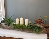 Hollowed Out Drift Wood Planter Driftwood Garden Decor Beach Decor Wedding Centerpiece