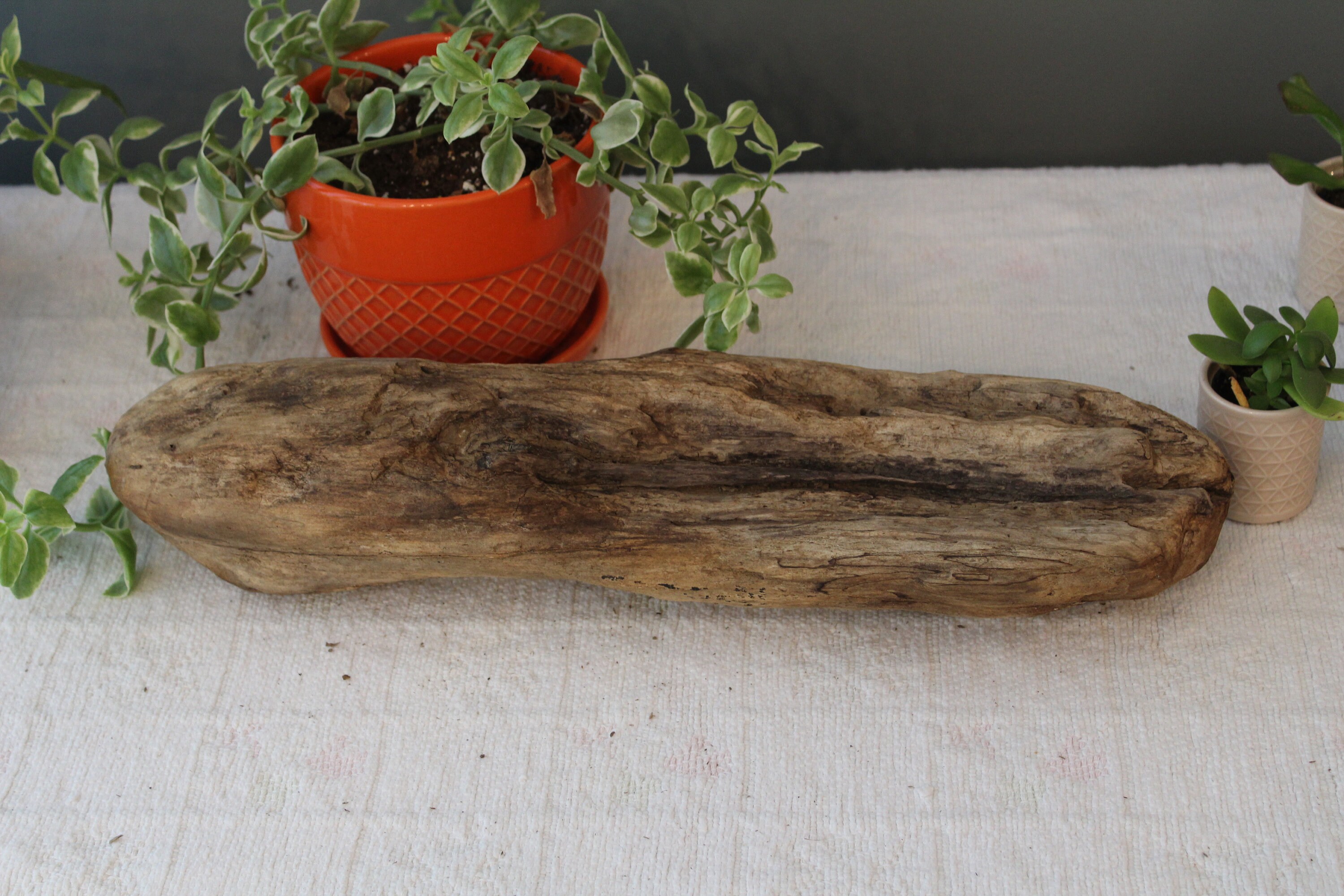 18 Driftwood Log / MediumLarge Drift Wood Piece / Etsy