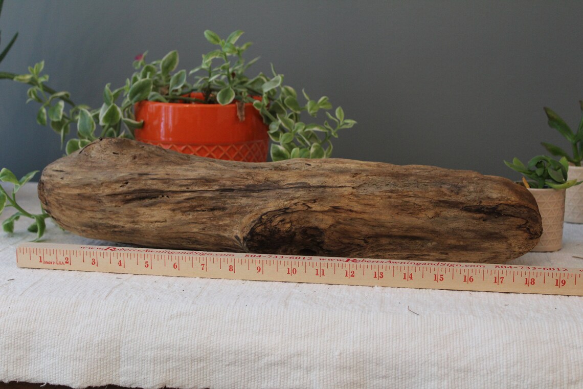 18 Driftwood Log / MediumLarge Drift Wood Piece / Etsy