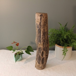 Approx. 20&quot; Driftwood Log