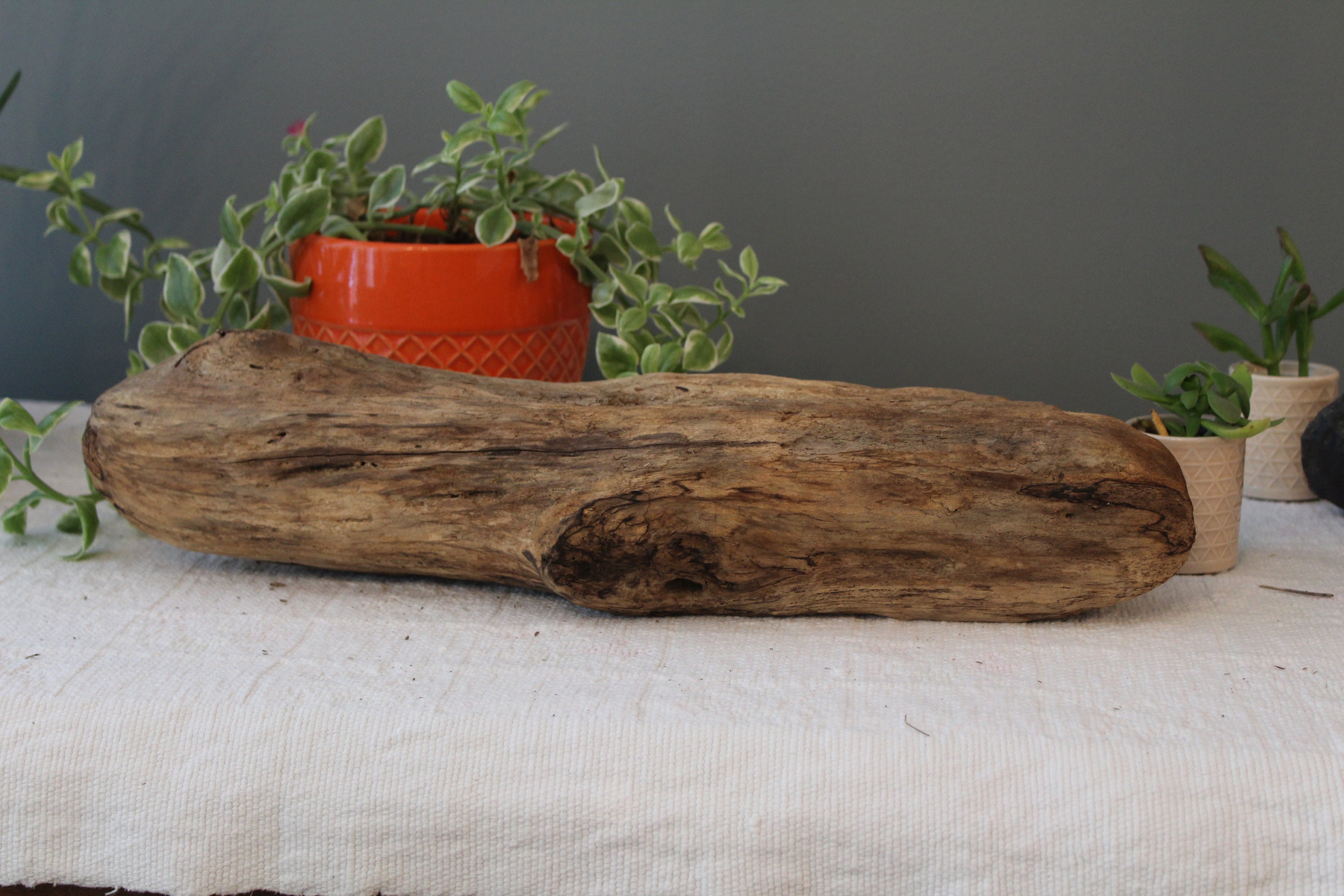 18 Driftwood Log / MediumLarge Drift Wood Piece / Etsy