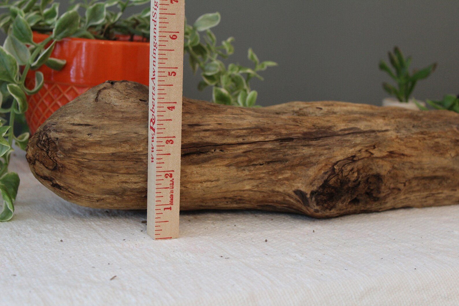18 Driftwood Log / MediumLarge Drift Wood Piece / Etsy