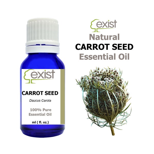 Carrot Seed Essential Oil Pure Therapeutic Grade