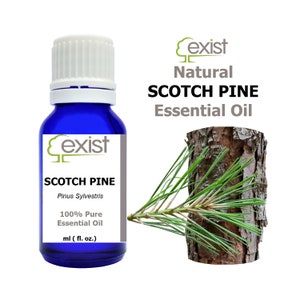 May include: A blue glass bottle with a white cap, labeled "Scotch Pine Essential Oil" with the text "Pinus Sylvestris" and "100% Pure Essential Oil". The bottle is next to a branch of a Scotch Pine tree with green needles and brown bark.