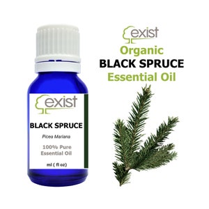 May include: A blue glass bottle with a white cap, labeled "Exist Organic Black Spruce Essential Oil" and "Picea Mariana 100% Pure Essential Oil ml (fl oz)". A sprig of green spruce needles is shown to the right.