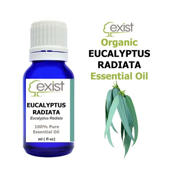 Organic Eucalyptus Radiata Essential Oil Pure Therapeutic Grade