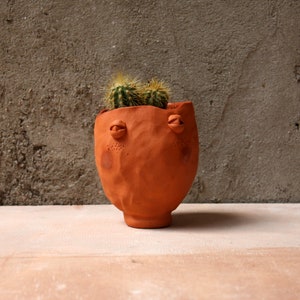 Peut inclure: Un pot en terre cuite avec un visage sculpté sur le devant. Le pot est rempli d'un petit cactus.