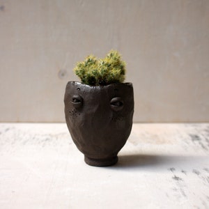 May include: A small, dark brown ceramic planter shaped like a face with two eyes and a textured surface. A small cactus plant is growing in the planter.