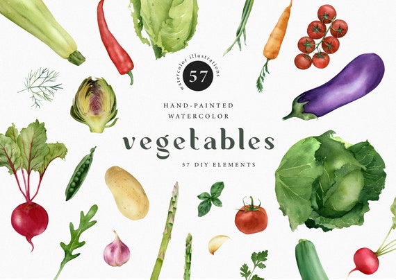 Watercolor Vegetables Clipart Png Watercolor Healthy Food Etsy