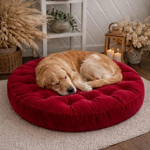 May include: A sleeping golden retriever rests on a round, button-tufted dog bed. The bed is a deep red color and sits on a light-colored rug. The dog is curled up, appearing comfortable and relaxed.