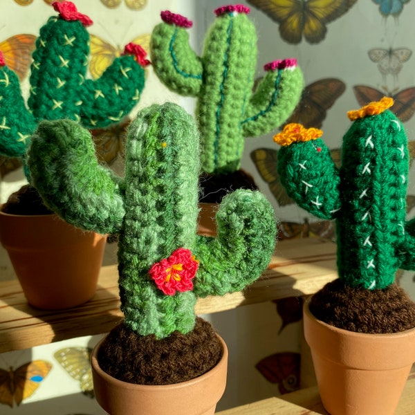 Saguaro Mio Crochet Cactus