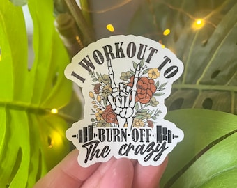Workout stickers, laptop stickers, vinyl stickers, funny workout, skull stickers, workout funny, gym gift, weight lifting, exercise, funny