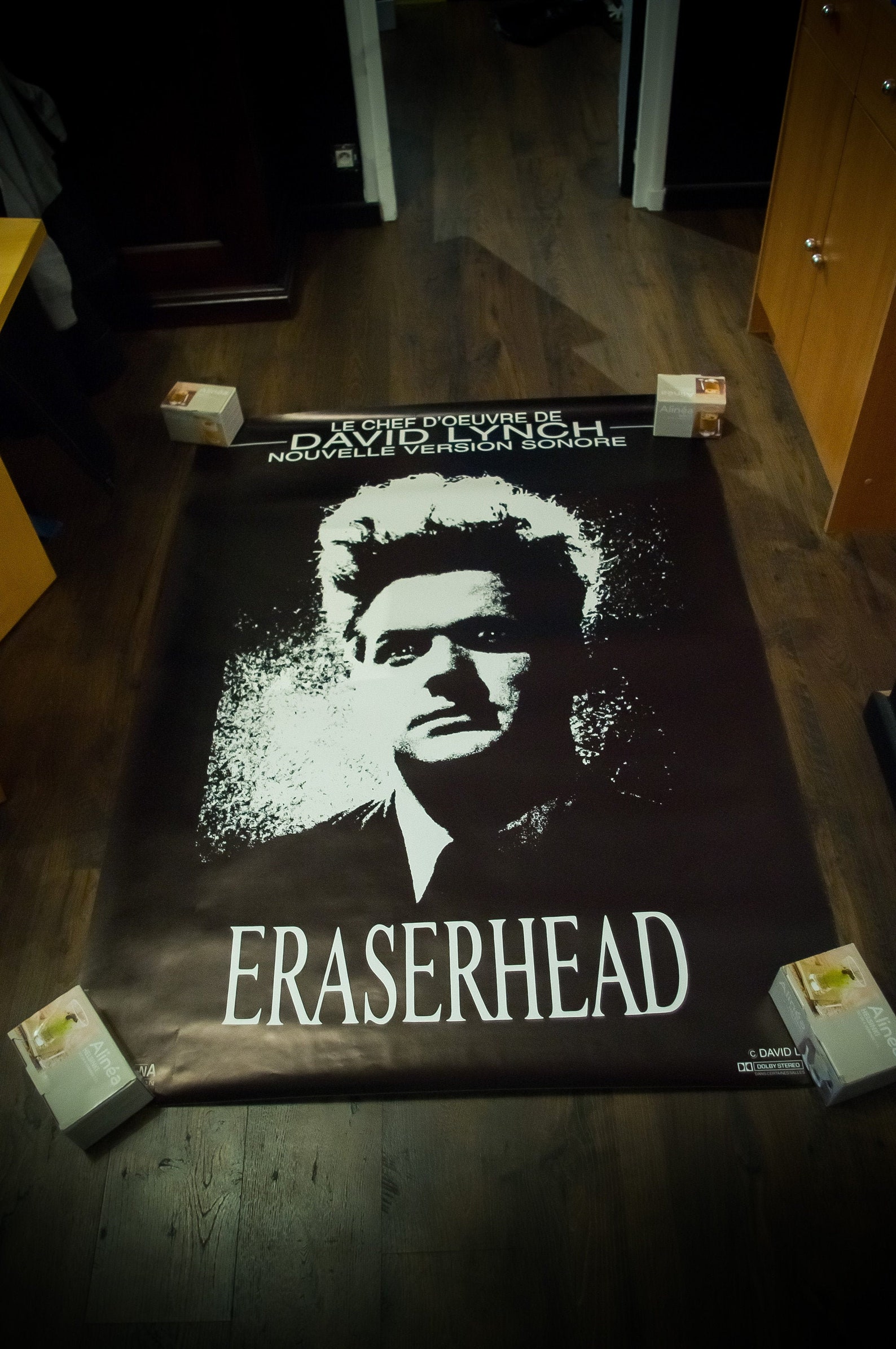 ERASERHEAD Original Poster 1977 David Lynch Rolled 4x6 ft Etsy