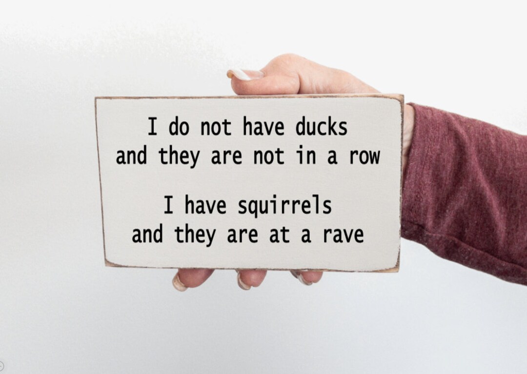 I Do Not Have Ducks and Not in a Row I Have Squirrels at a Rave Funny