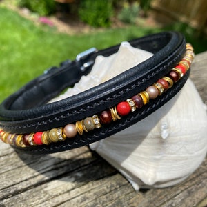 Hundehalsband, Leine oder Set!  Red Creek Jaspis, rote Koralle, Braun und Creme Perlen und Gold Akzente und Strass