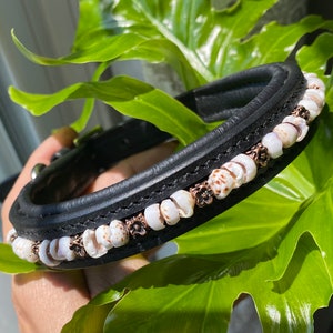 Beaded Dog Collar, Leash, or Set!  Tiger Puka Shells and Copper Toned Hibiscus Flowers
